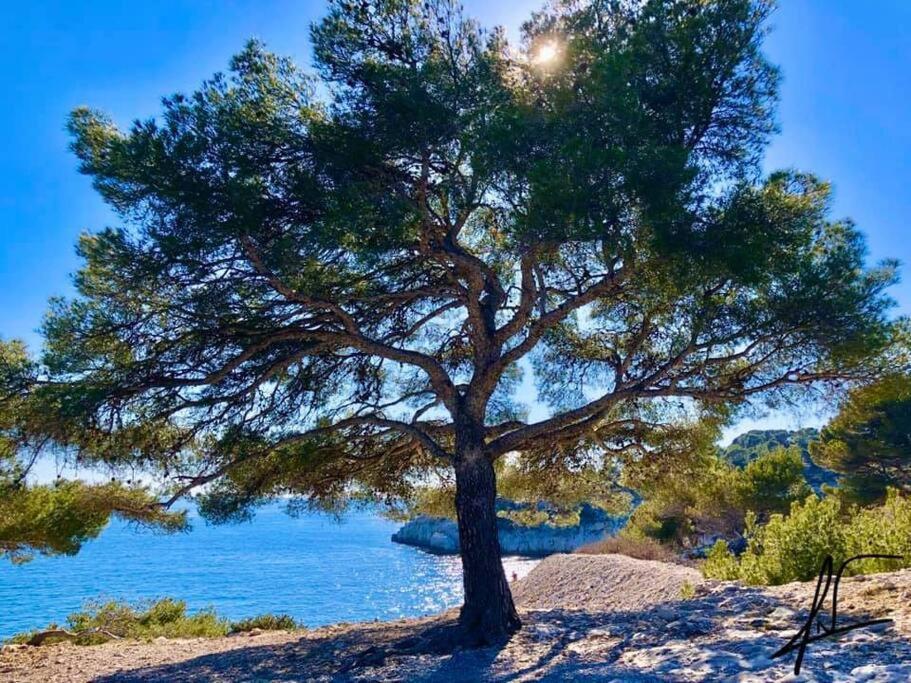 Charmant Studio Au Coeur De Cassis Eksteriør bilde